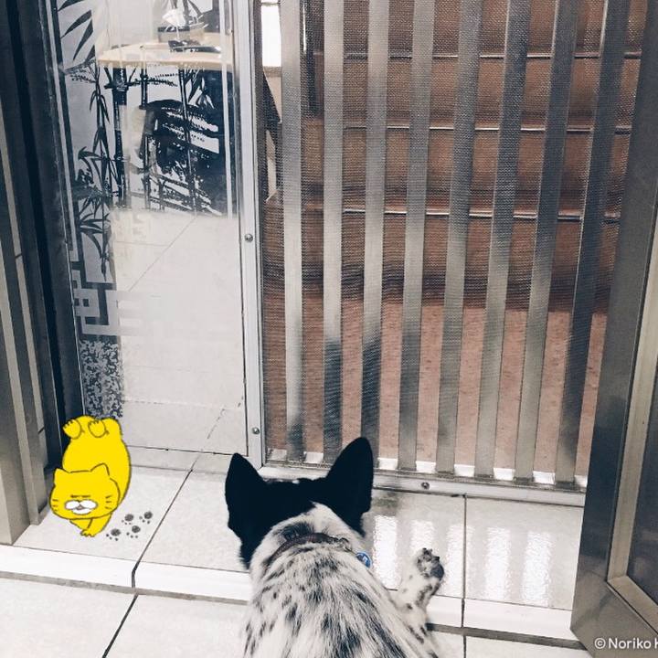 A6adac51 59eb 4afd b5dd 71b59c727aed