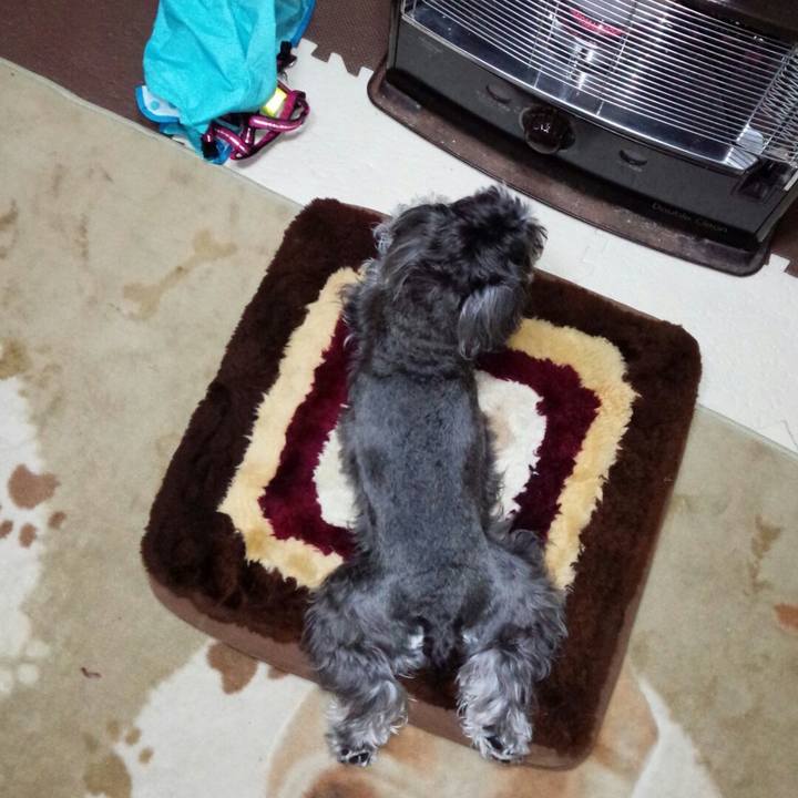 A6aeb797 3367 45fb 8e25 6d53e7f23674