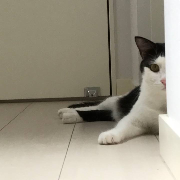 A6af0e81 3a22 45ea 8799 5359d595f251