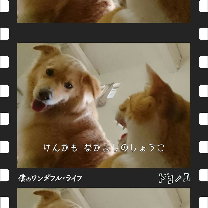 A6af241f a972 4876 8cfd d8efaddb8fef