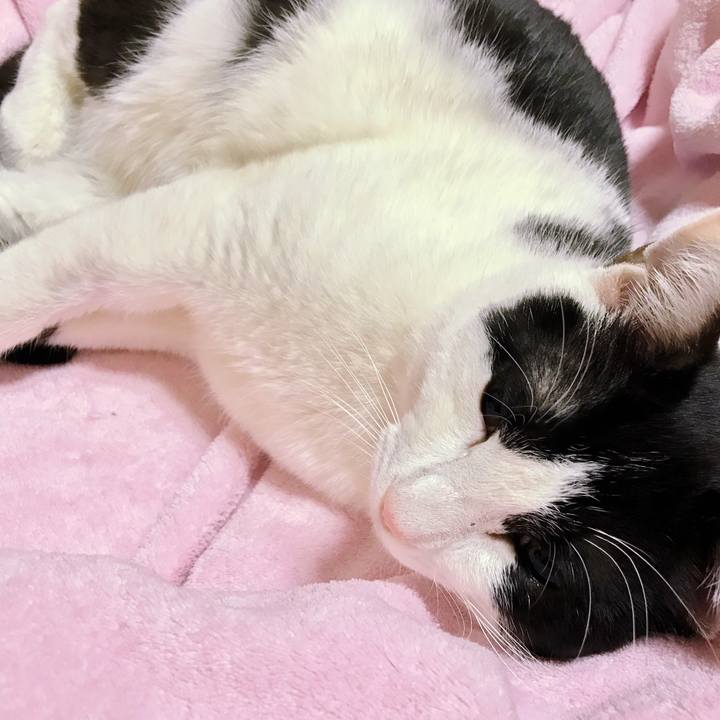 A6af7663 7141 4bc1 8a1d 9ffab5d56403