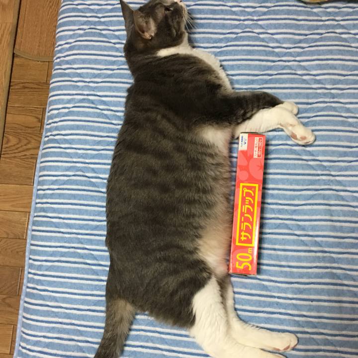 A6af8ddd 5499 4bce bfba f6e796fa3545