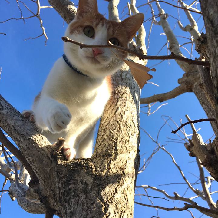 A6afcc58 b05a 41dc 9873 48feaf79f05f