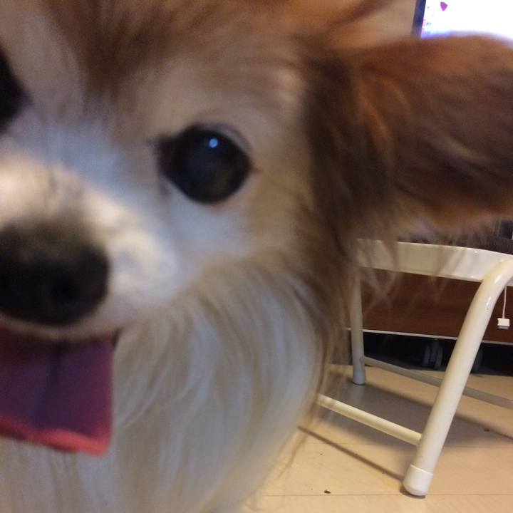 A6afeb3e ed0e 47a6 b3f7 b204b243aec6