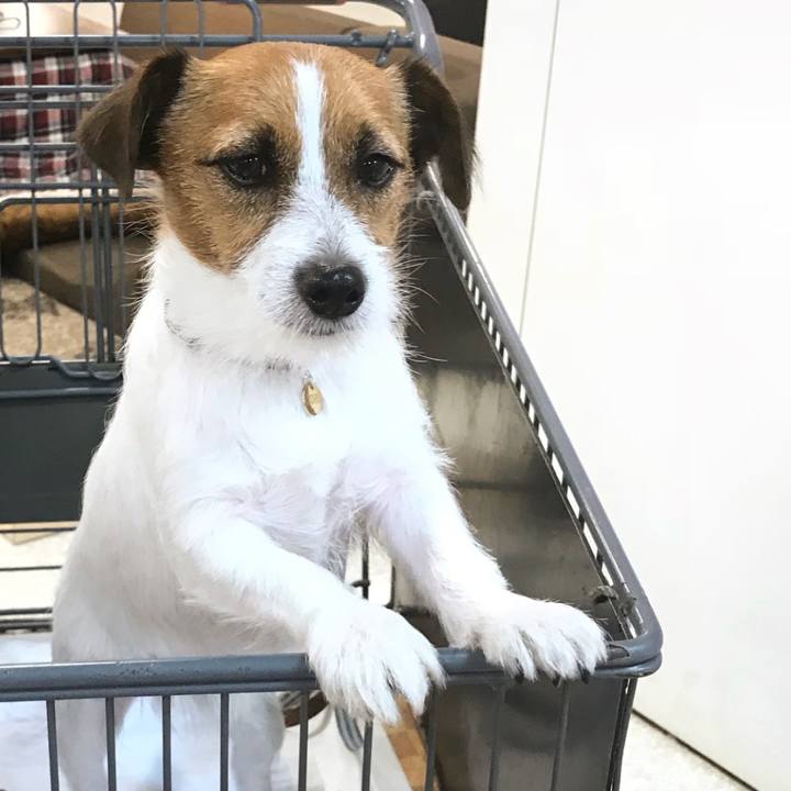 A6b0d0f8 b403 44b4 bf84 e118167dd361