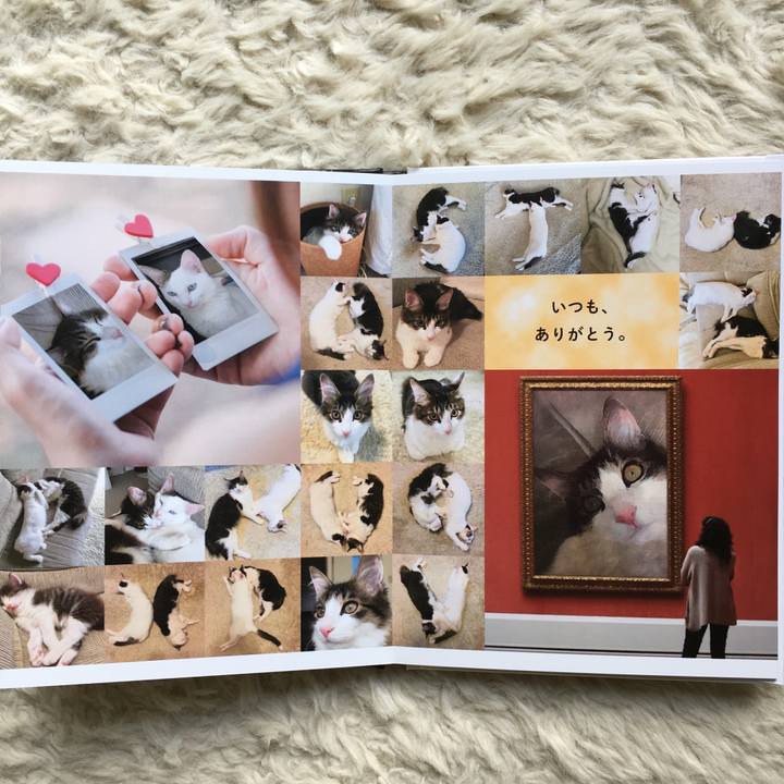 A6b0d273 4e04 4054 8bf6 1a6fe89a52b4