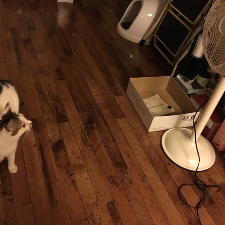 A6b0dd07 df03 41e0 9b1b 5f8f74e688a9