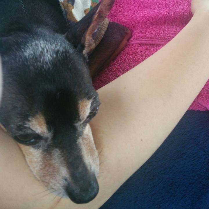 A6b0f882 3853 4424 bcba 00da43a70df0