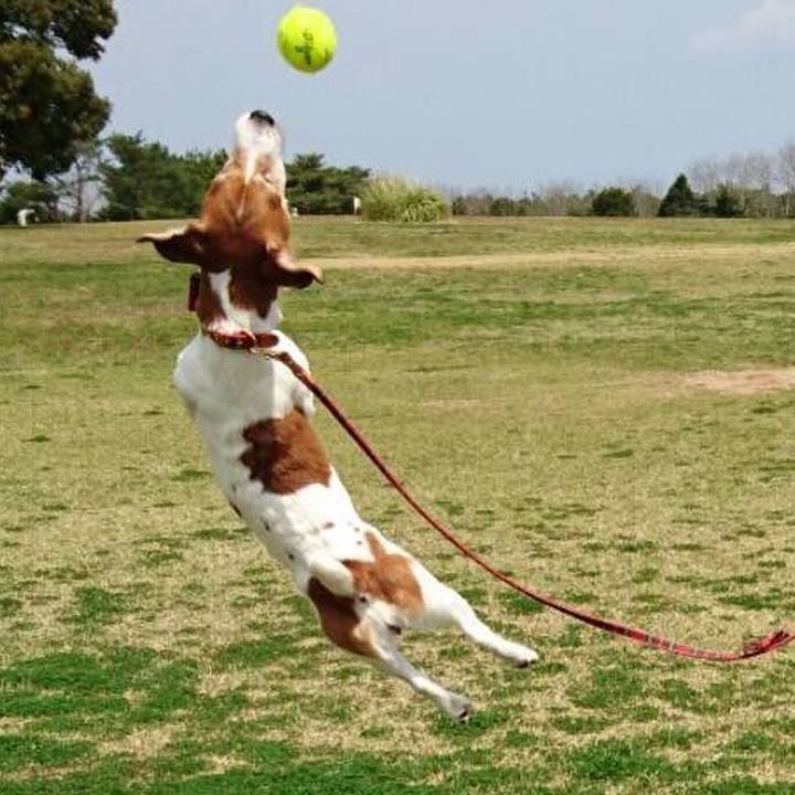 A6b1086e 5c41 433c 8cef 26999deb4dcc