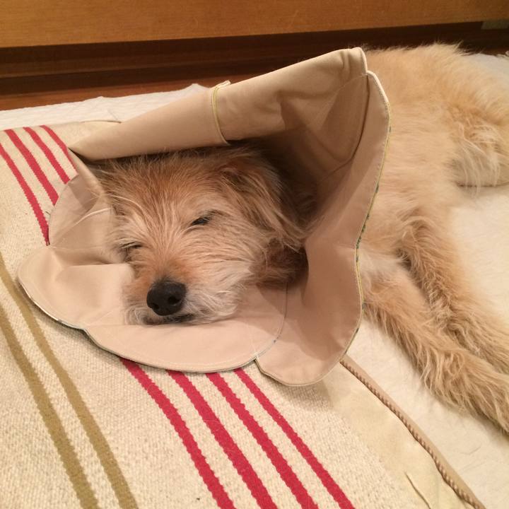 A6b19e20 ec80 4452 bbe3 04f859915827