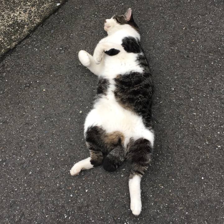 A6b1ade2 652f 4a3d 8968 d881cd4ea6ce