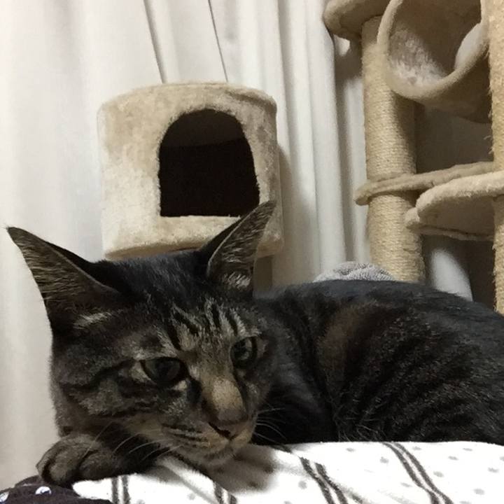 A6b2109a d3ce 4581 aabe b342c540f402