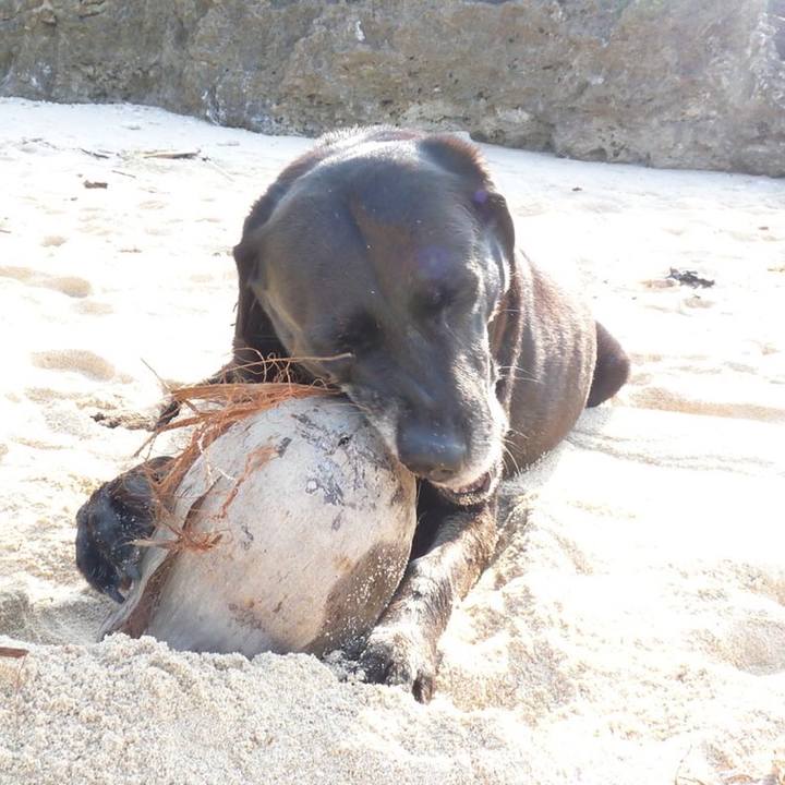 A6b2a929 c895 4dd8 8711 157b3c35b9ec