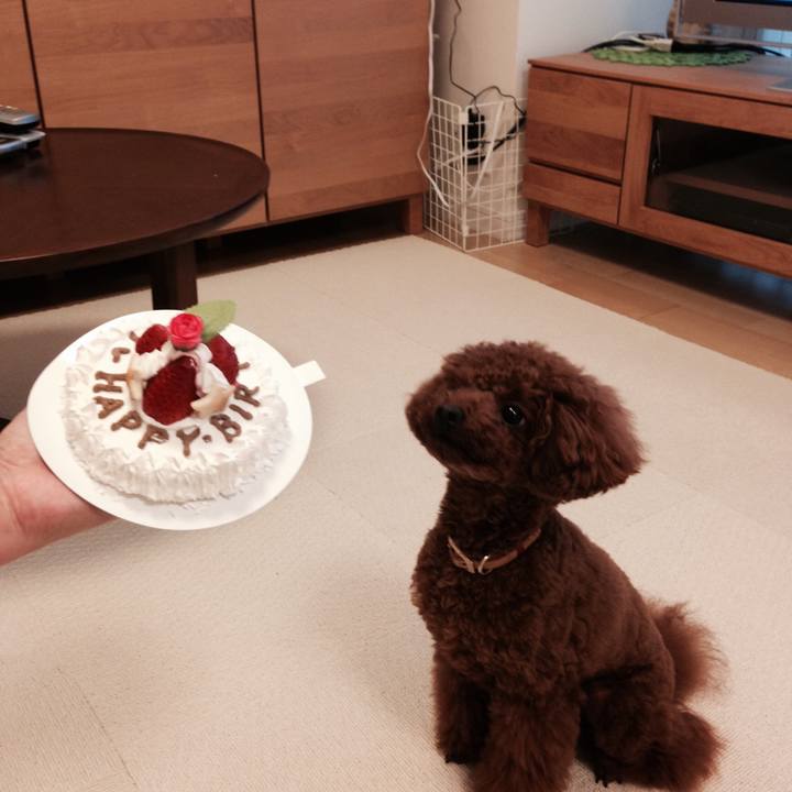 A6b2d6e9 ad1d 4098 8447 d01c659ee937