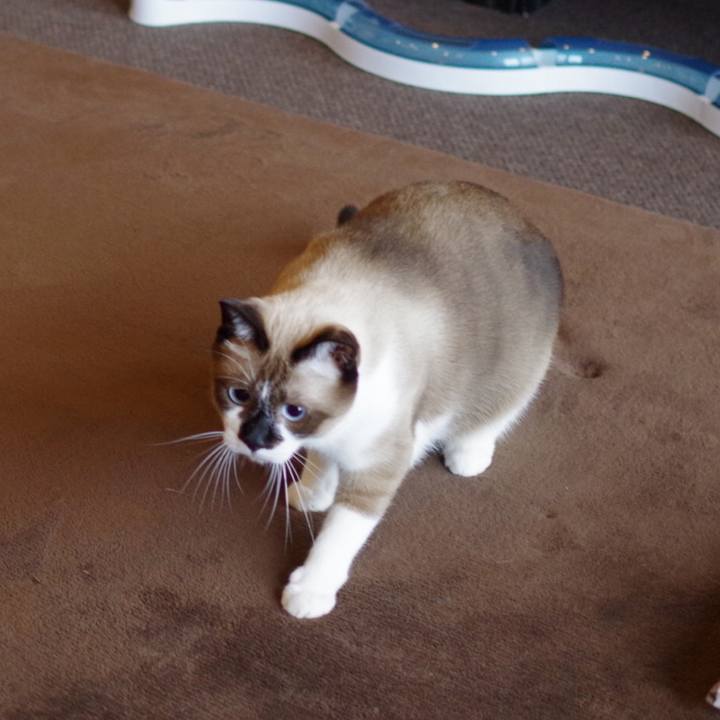 A6b39225 1931 4f37 bad8 4c2f762d1e0e