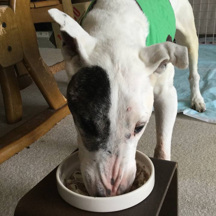 A6b3be91 da52 4a7c b918 178b874021e3