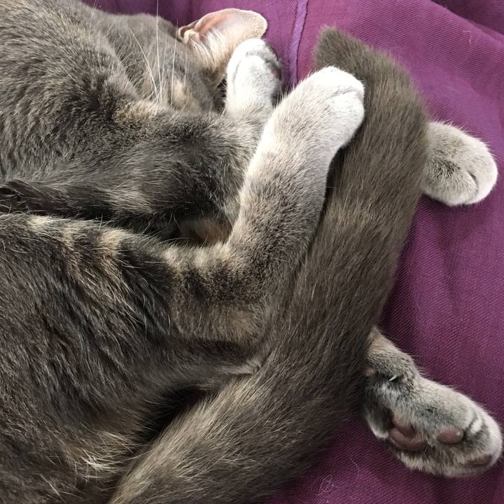 A6b4a1b6 9949 407d 9bda 63663c05f75c