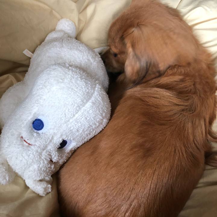 A6b5e339 6d6e 464b aeb0 491d63de7e04