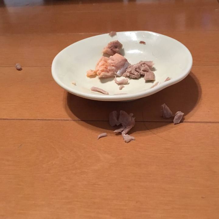 A6b6a6a4 0f9b 4eda 9612 f82f6ea9c024