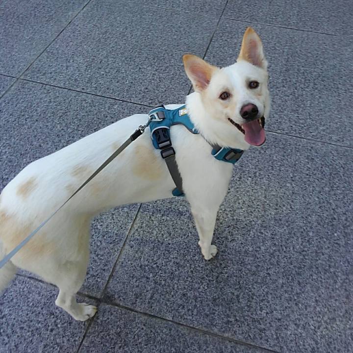 A6b6d19e 485d 4913 8e35 72b4db8fcb81