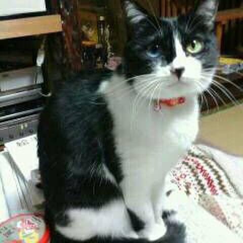 A6b72175 9b04 42a4 b38f cec2ca7d95a1