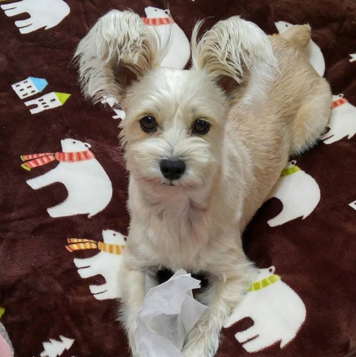 A6b72bd4 3d99 4d94 b065 801b464ae8b3