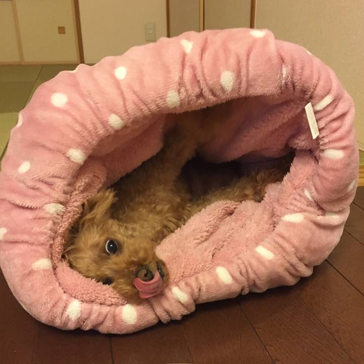 A6b823b5 0f12 43c4 bb7f 5f244230a70a