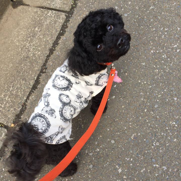 A6b843e3 21d8 4be2 a561 1681c4414f29