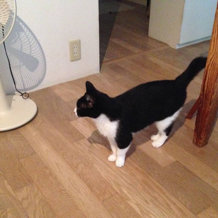 A6b85421 f18b 4979 93ae 7adb5b2af7d4