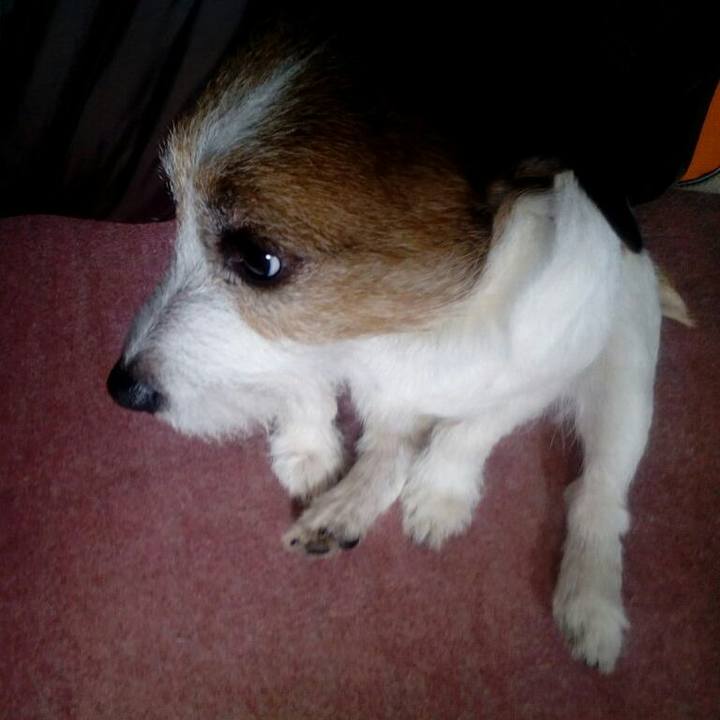 A6b86d79 e162 47d9 821d 9279cf4a2005