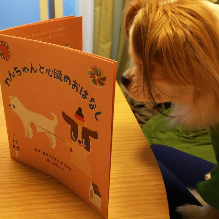 A6b8773d e8e8 48d7 b236 df1c2f969f0b