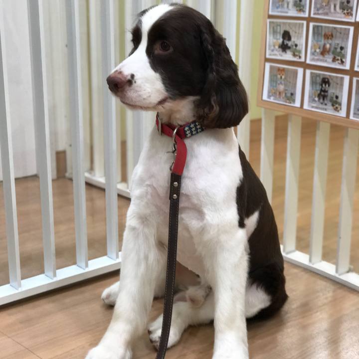 A6b8b918 b1fe 4d9d 90b2 4bae00c6bb12