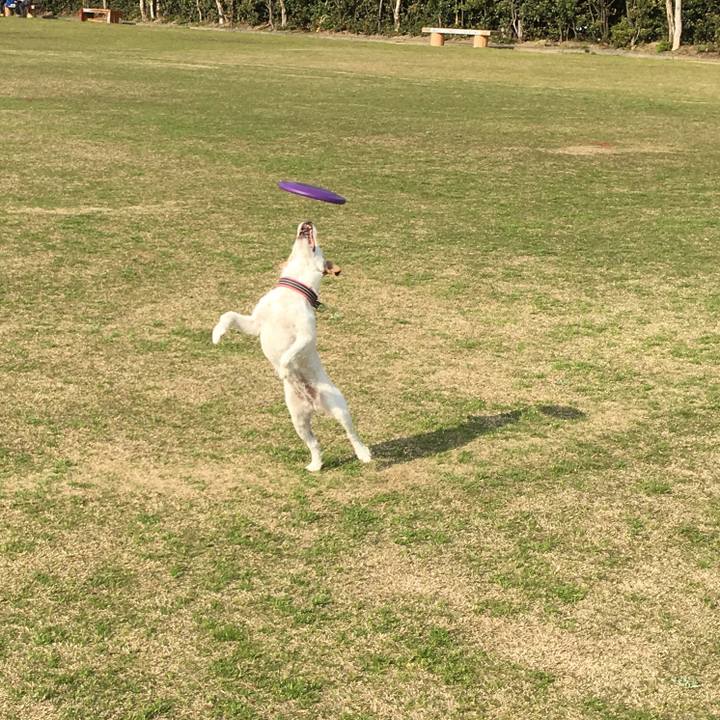 A6b8daf0 4c8b 4a31 af7c b7392cb06f85