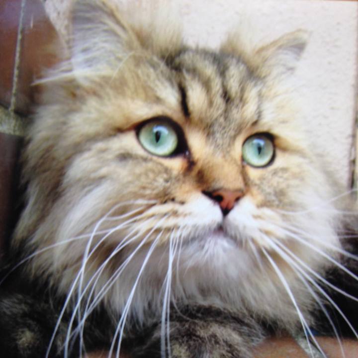 A6b8def3 6854 409e 88e7 83abafcde3e0