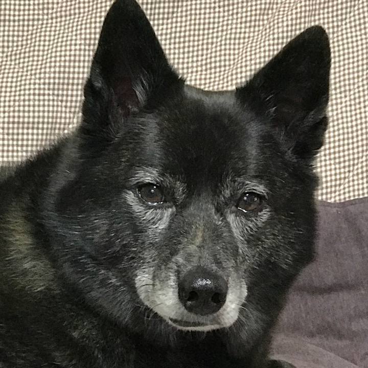 A6b8ffbe 5bf7 48e4 a965 2a747614ba17