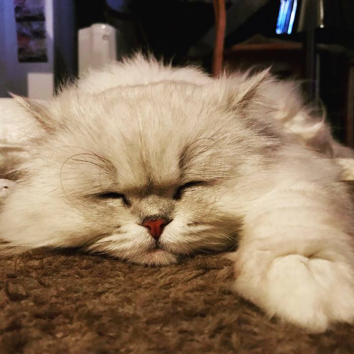 A6b99709 7fa6 4a45 a9bf 8e8a5f29bae9