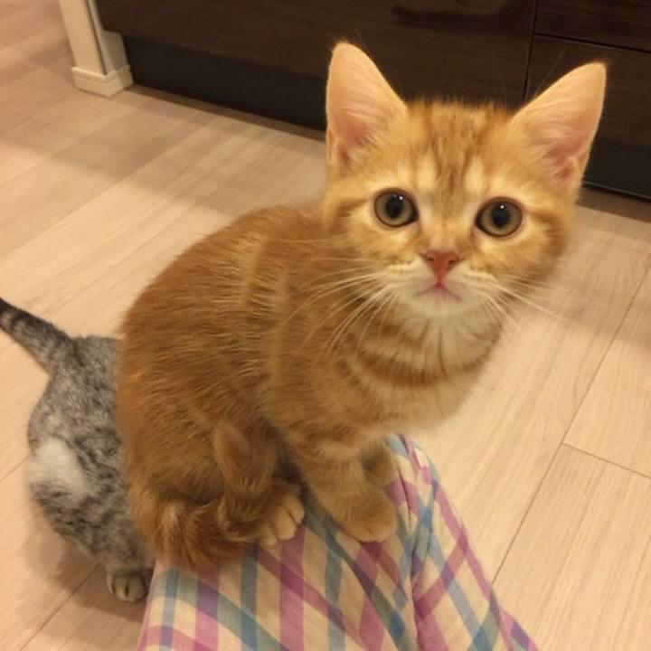 A6ba9c6c 63ff 4186 ab9d 05f159d82de9