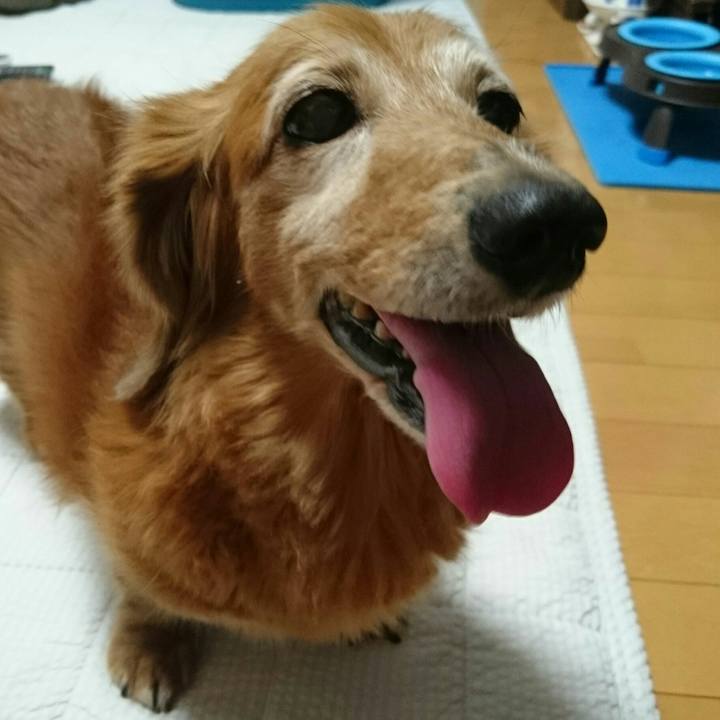 A6baf607 34f3 405d 8a7e 3904df185cbf