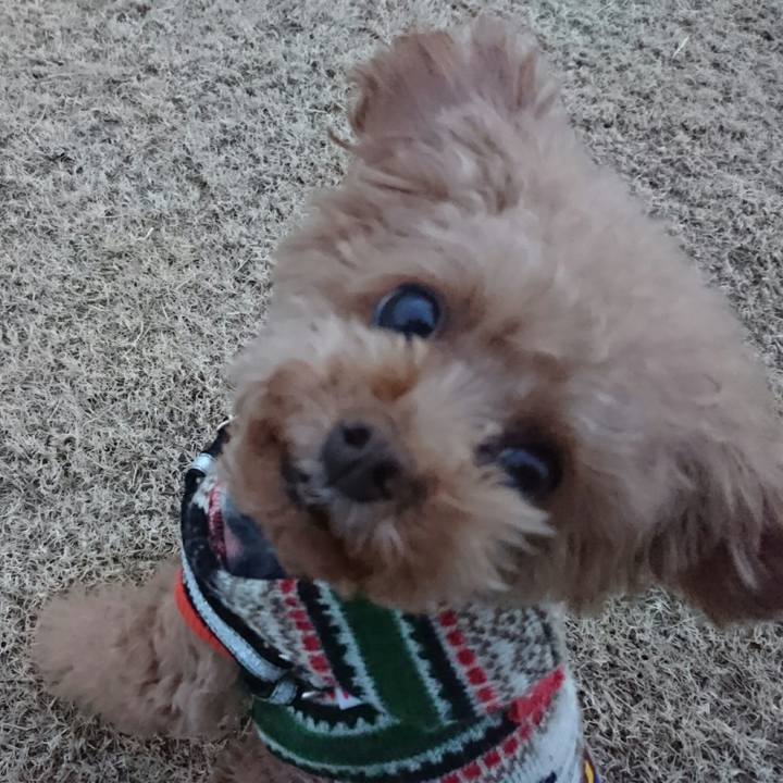 A6bb085a 4d5c 49de 8c9e c02367d8ea28