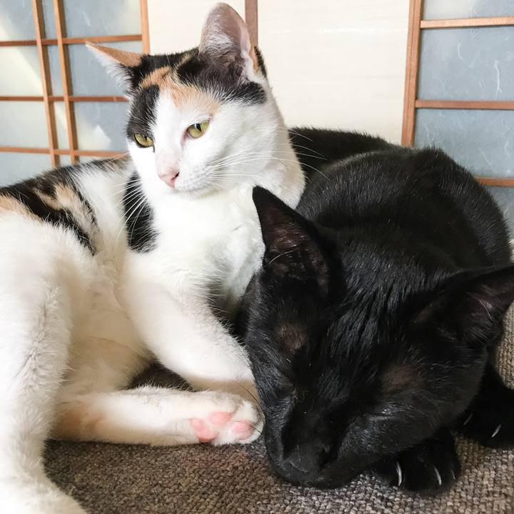 A6bb7f83 efe0 4d1b af5f 23432f1fa68d