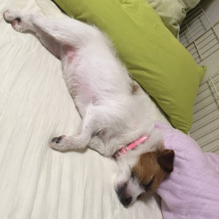 A6bbd4a6 4b60 4d12 82bd 2f46cc98d5b3