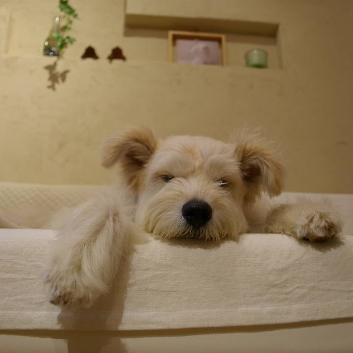 A6bcae82 63d2 4959 9c91 6566af9a871b