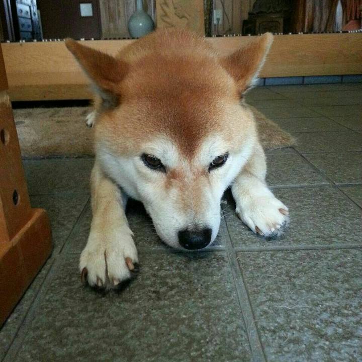 A6bcc4b7 02c0 4e4d b5bc 1612a1f02d7d