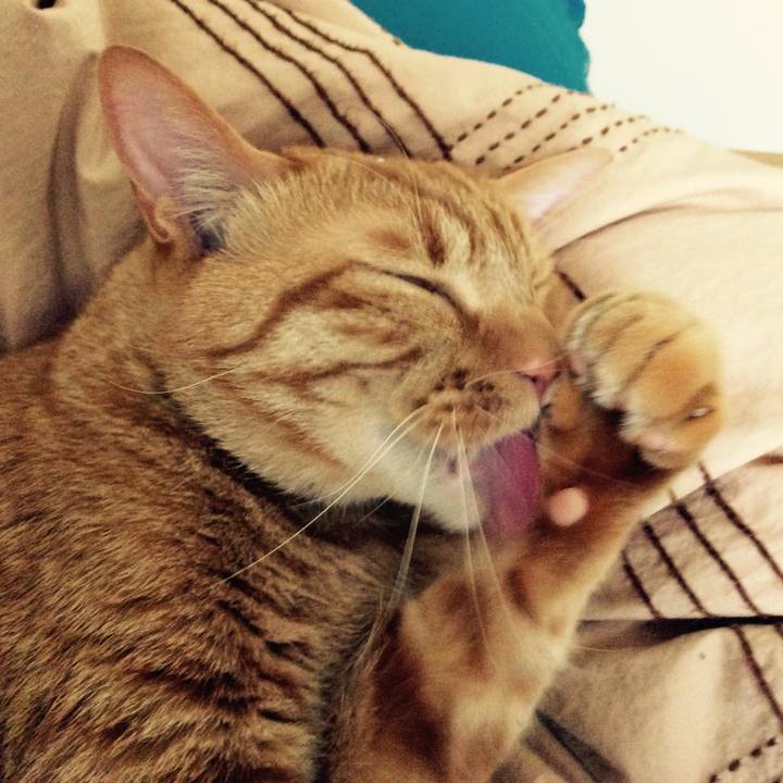 A6bdd36f 53ab 44b9 8042 aadfbd93b0a7