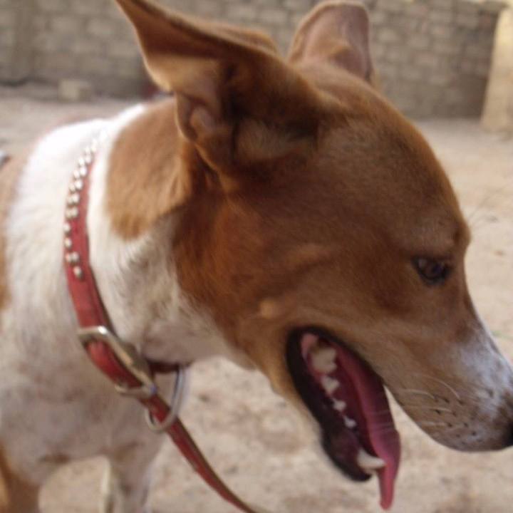 A6bdf5e1 82c8 4a44 9702 ed7ebf4aadf8