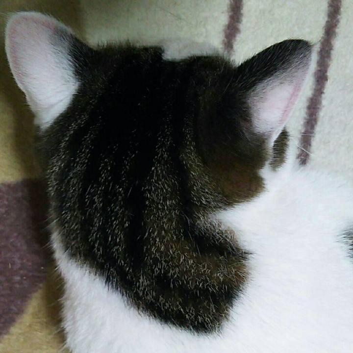 A6be7198 6ff5 4999 912e b26a77ad9e46