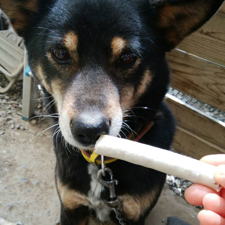 A6bee9b9 3e05 4bcd 9305 b009a4fee758