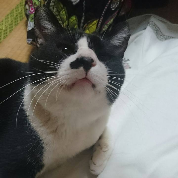 A6bf64e8 b4ff 4ba9 bf65 6b2a418723f4