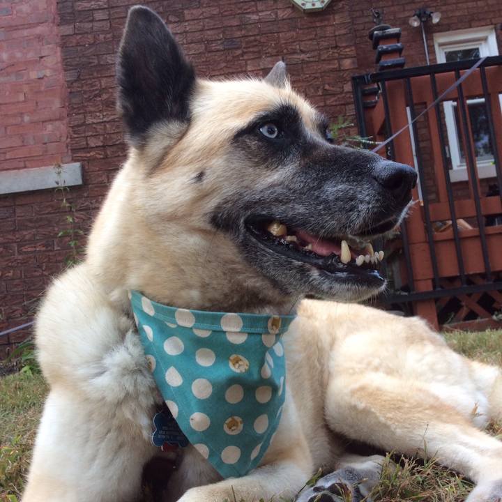 A6c0b3a6 8021 4b37 a6c3 aecd01720af8