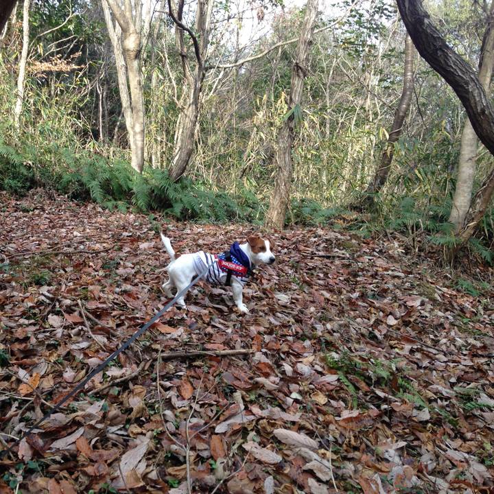 A6c0c1df afde 4cd7 9b57 5b5abfa3c3bd